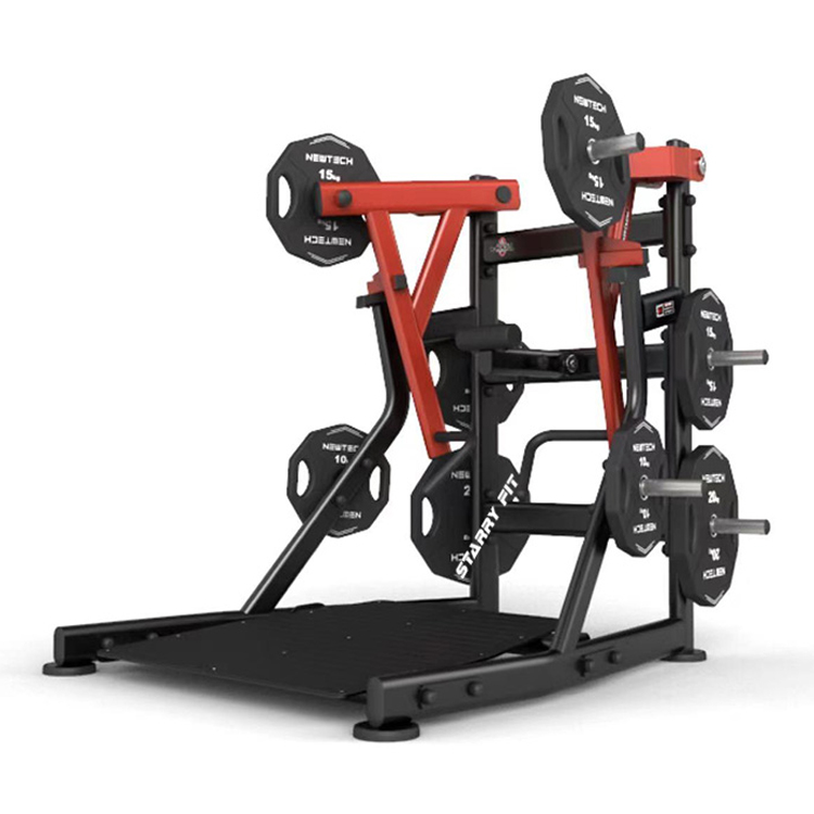 Torture Low Row (nouveau) NT-T-LR2