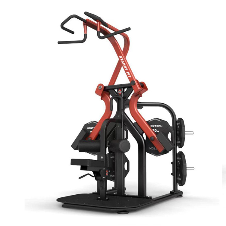 Torture Large Pulldown Arrière1 NT-T-WP(R)-1