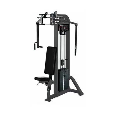 Gymnase pour mouches pectorales