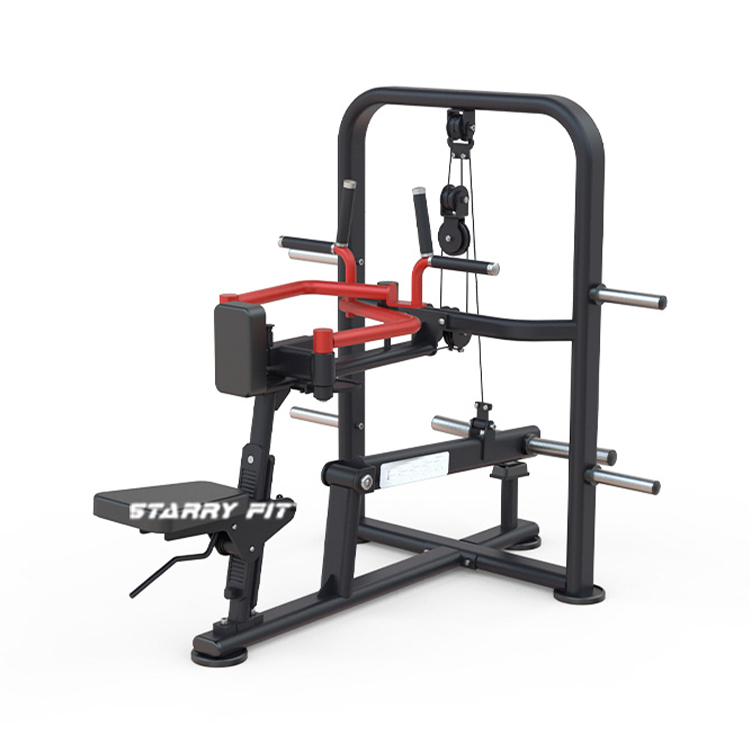 Épaule deltoïde arrière assise<br />DLP260