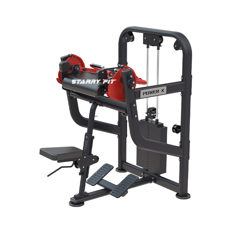 Machine à biceps<br />DLP281