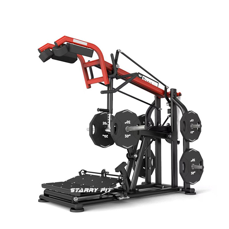 Squat et élévation des mollets<br />DLP226