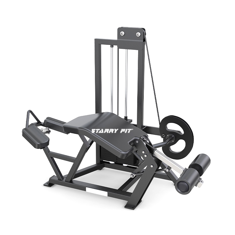 Curl des jambes allongées<br />FL365