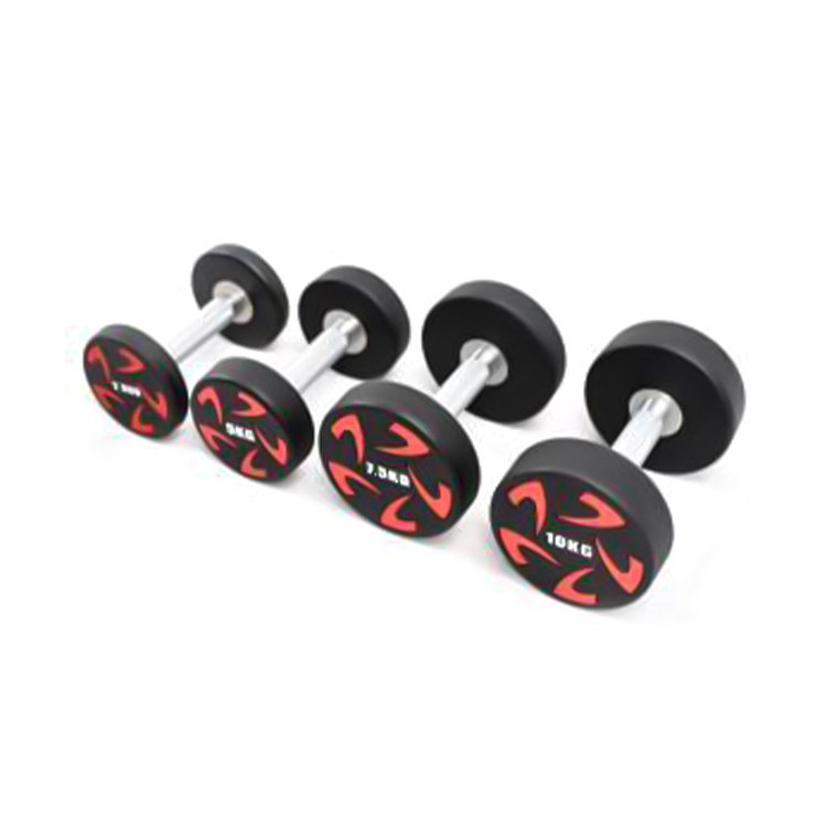 Fenhuolun CPU Haltères en acier massif à tête ronde série 2,5 kg