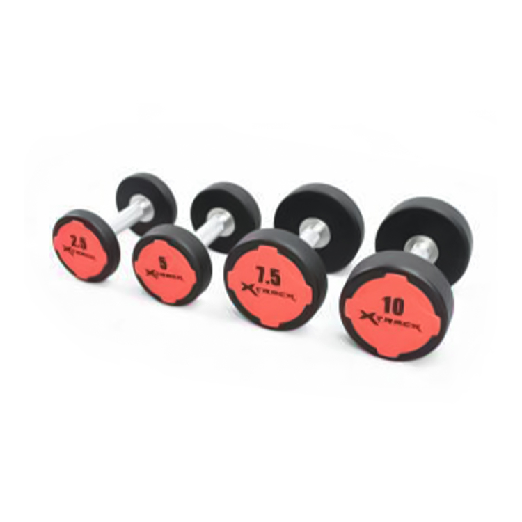 Xtrack CPU Haltères à tête ronde en acier massif série 2,5 kg